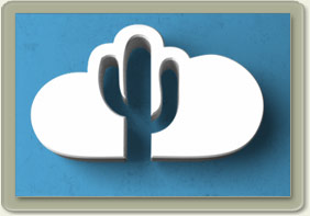 Onsite and offsite backups